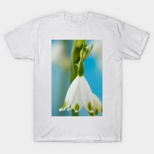 Leucojum aestivum  &#39;Gravetye Giant&#39;  AGM  Summer snowflake T-Shirt